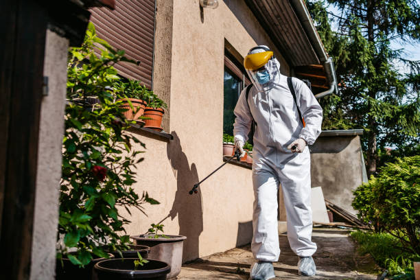 Reliable Tripoli, IA Pest Control Solutions