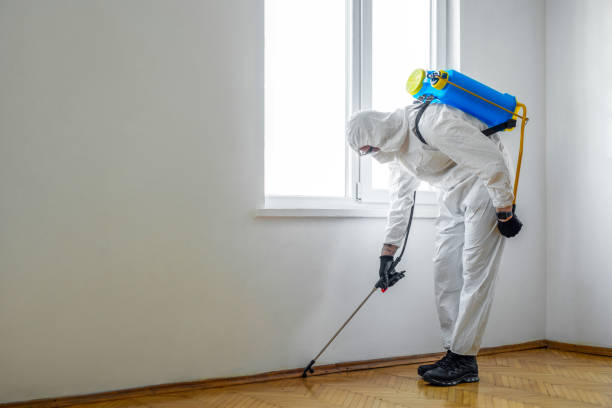 Pest Control for Restaurants in Tripoli, IA